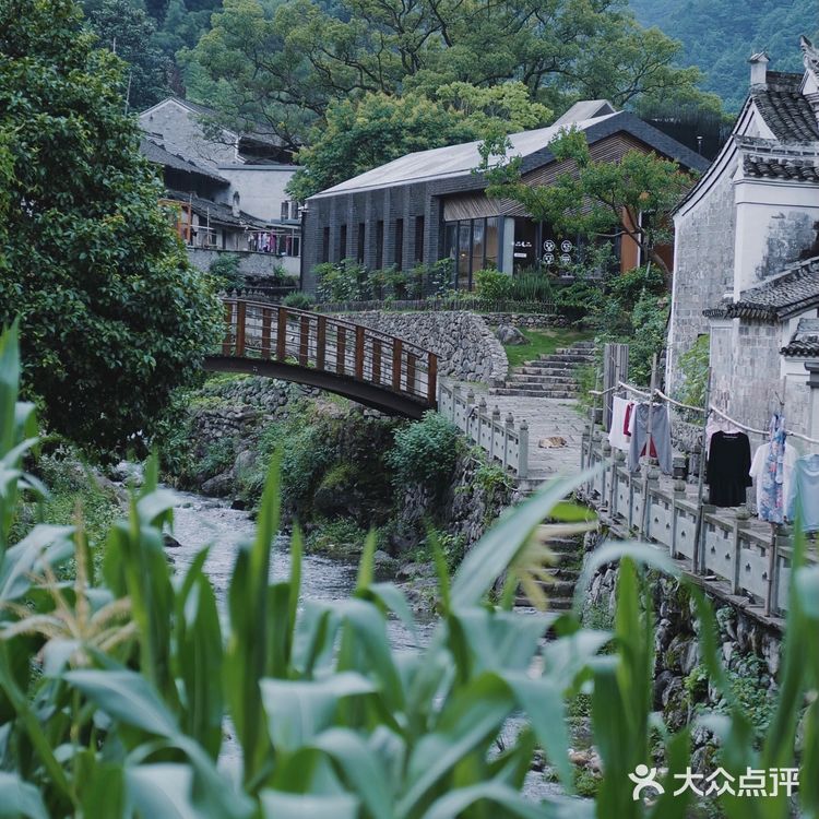 宁波隐秘古村在哪里