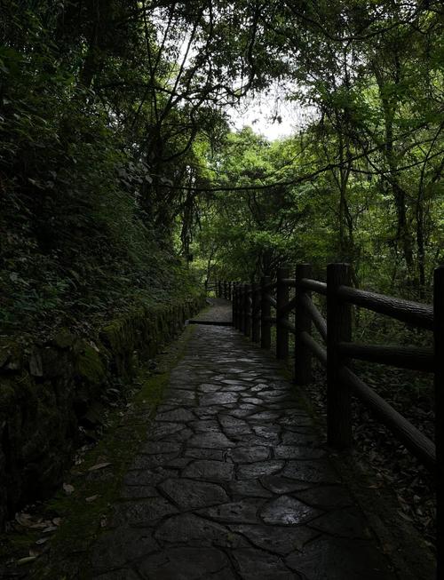 宁波徒步第一人