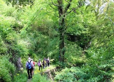 宁波小众徒步路线有哪些