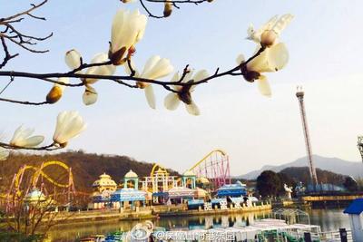 宁波亲子游去哪里玩比较好