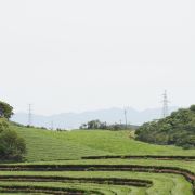 宁波周末游玩好去处