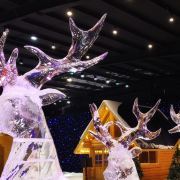 宁波游玩景点推荐适合小孩